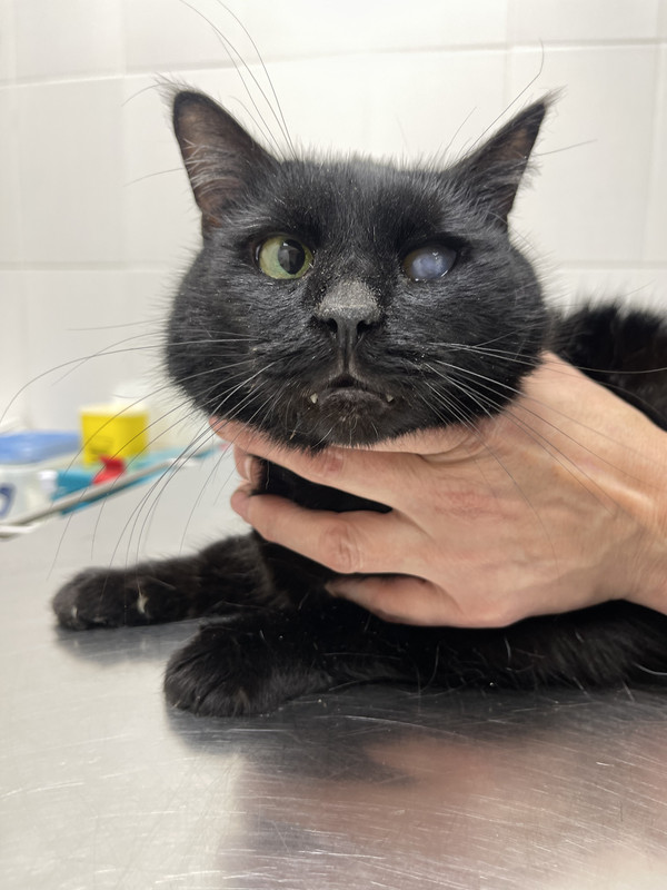 79CF9458-6962-41CF-B39B-6C73742E9732