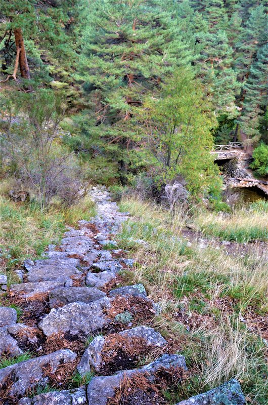 EL CHORRO DE NAVAFRIA-23-10-2013-SEGOVIA - Paseando por España-1991/2016 (50)