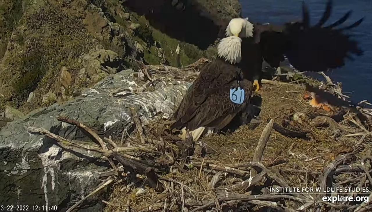 87609599-EBD3-454F-BE41-FE904CABC5AD