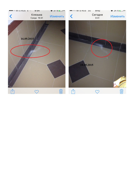 снова 1 этаж - Page 1