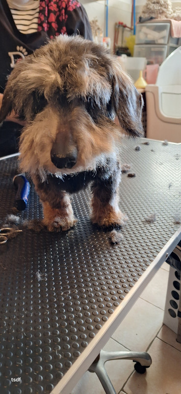 [Image: 20250213-144344.jpg]