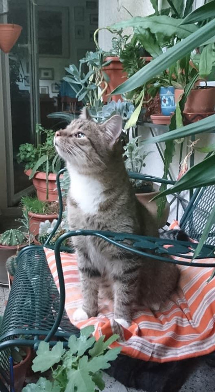 F4740D6A-BC0F-4BAC-AF6C-AF3871161F25