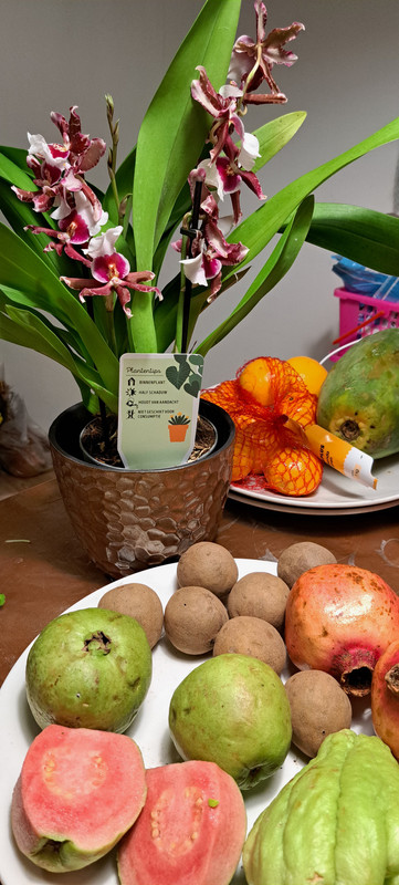 [Image: 20231205-201138.jpg]