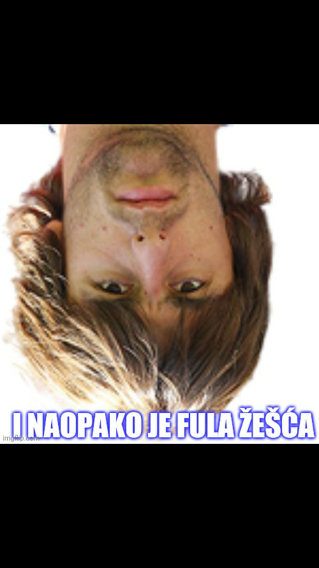slika