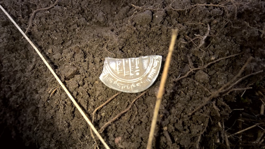 WP_20150329_11_53_13_Pro