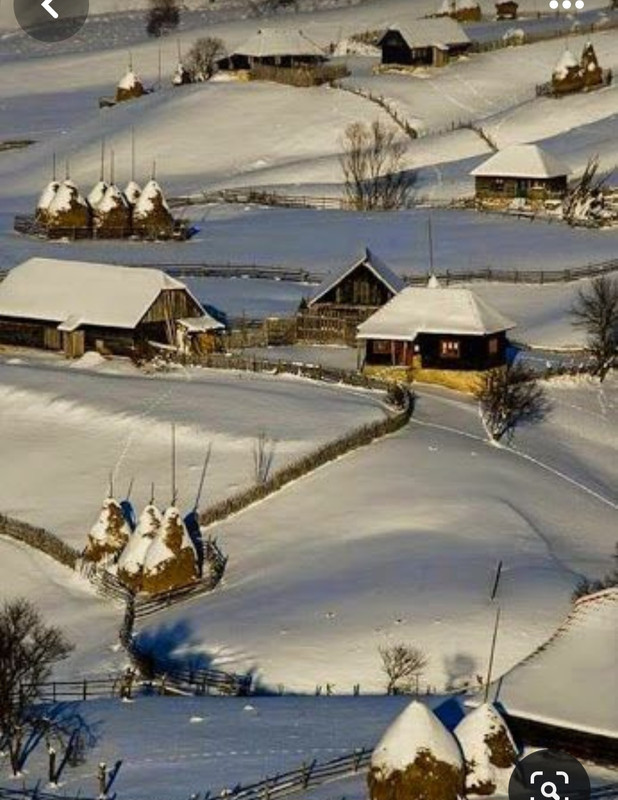 Screenshot_20231119_110247_Pinterest