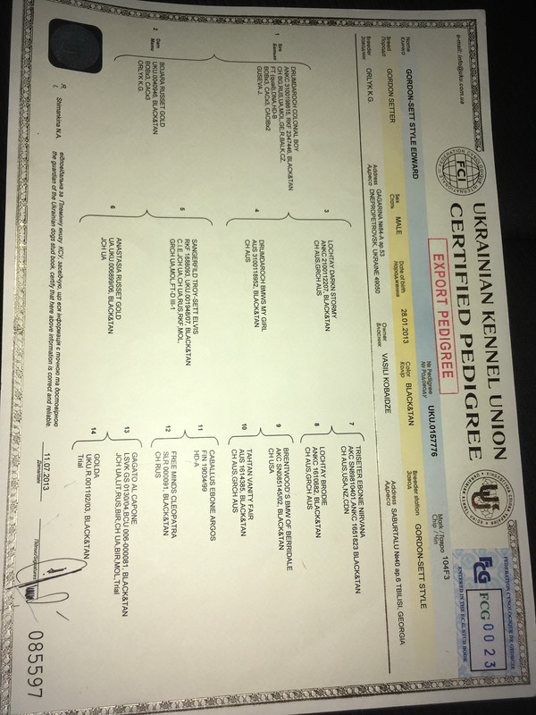 ხვადის საგვარეულო, წინა გვერდი