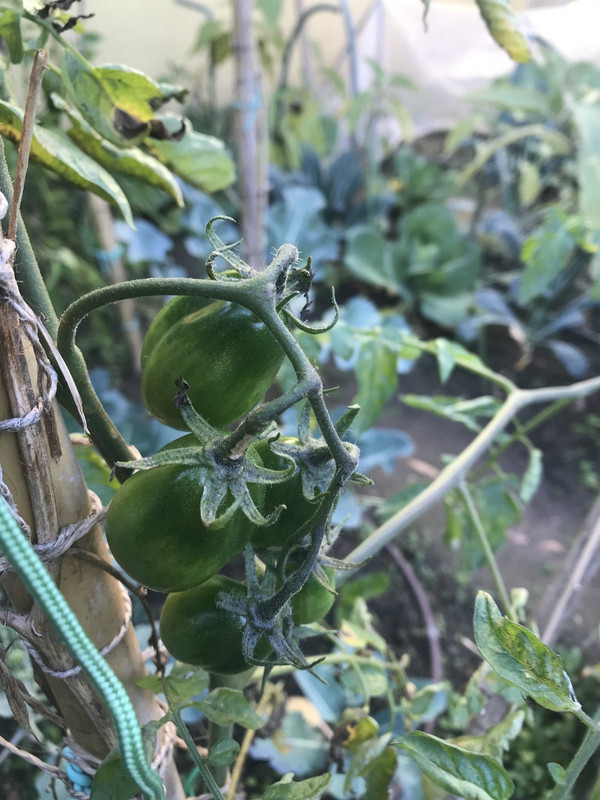 419E3A5F-44A6-4F20-A9D8-8796FE0028A1