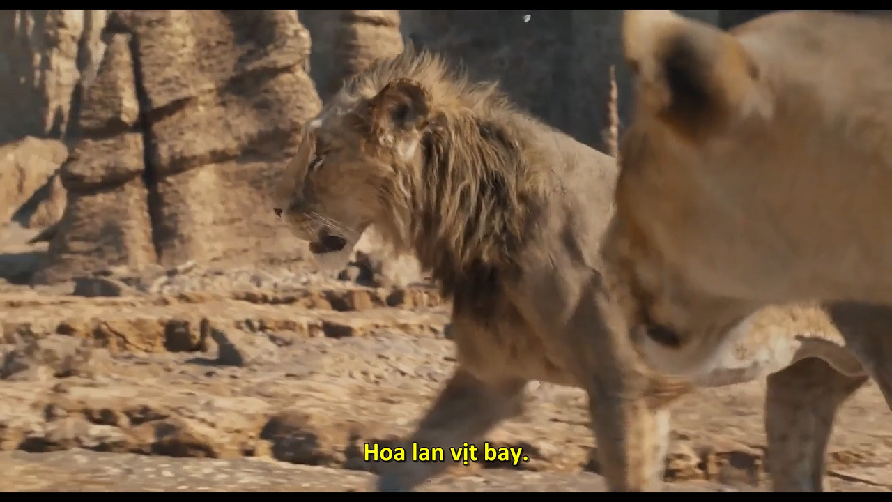 (Vietsub) Mufasa The Lion King 2024 1080p WEB x264 PCM 2.0.mkv_snapshot_01.05.51.980