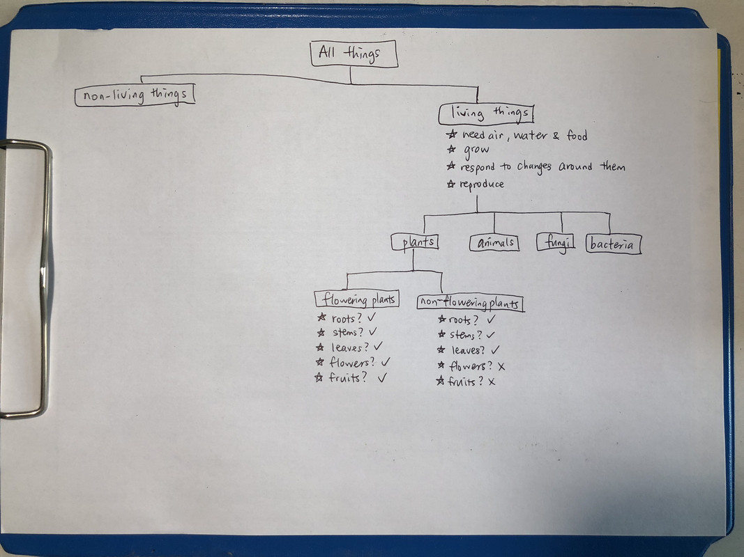 332B45E6-D33F-4DF2-B047-6962AB3E7647