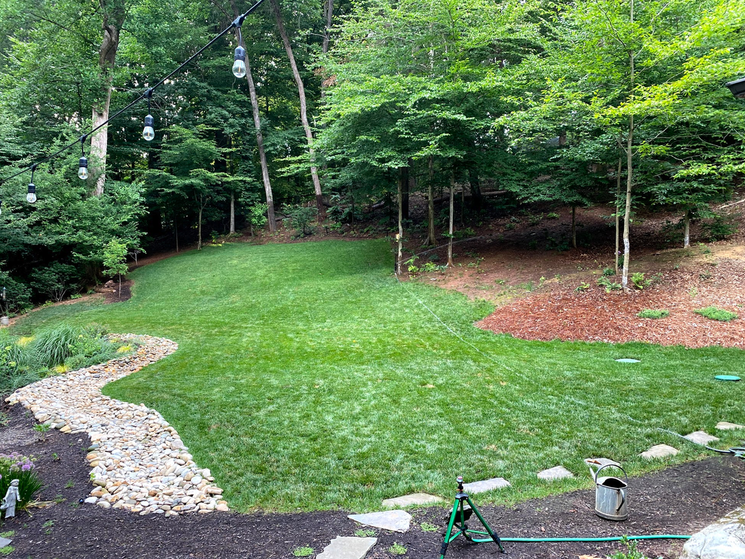 Screen Shot 2020-07-12 at 8.39.41 AM