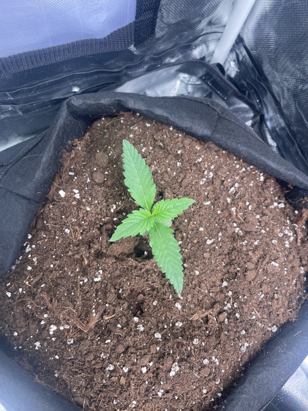 6CFF9148-54B0-4360-86B2-22E248AFF08E