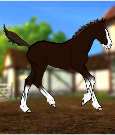 236AAFB2-C398-4299-88FC-C48FE9BDFF02