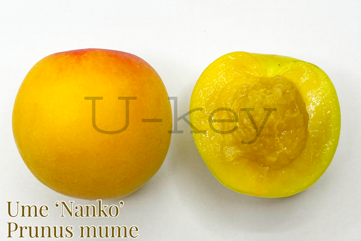 E503E18F-3BE5-45D1-924D-3C60094C1876