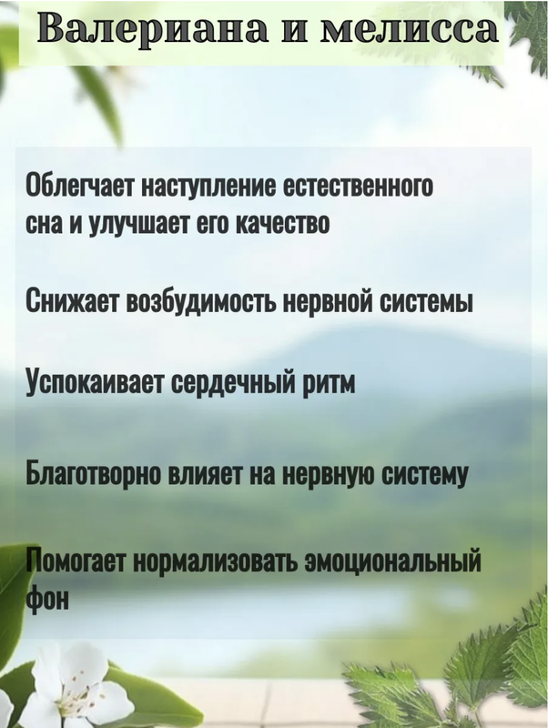 Снимок экрана 2025-09-29 в 21.16.43