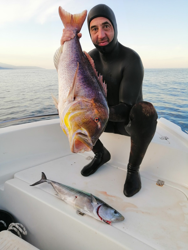 106103469_191016108983161_6174691367702966542_n