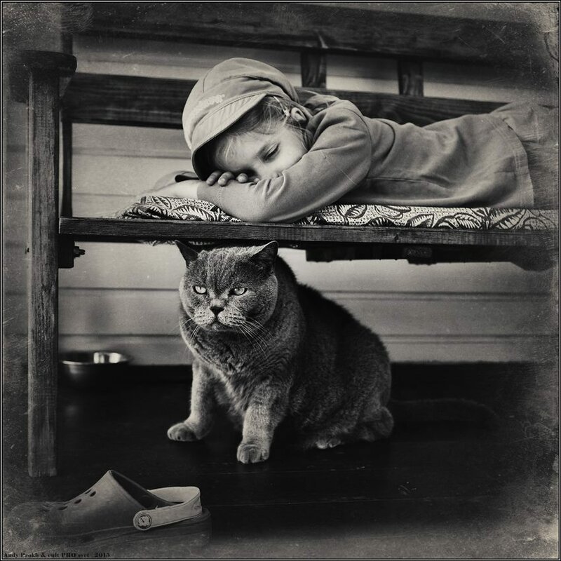 11403489-841835965882496-639490692685420524-n