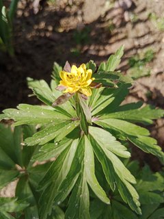 IMG_20240410_105759