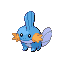 mudkip.png