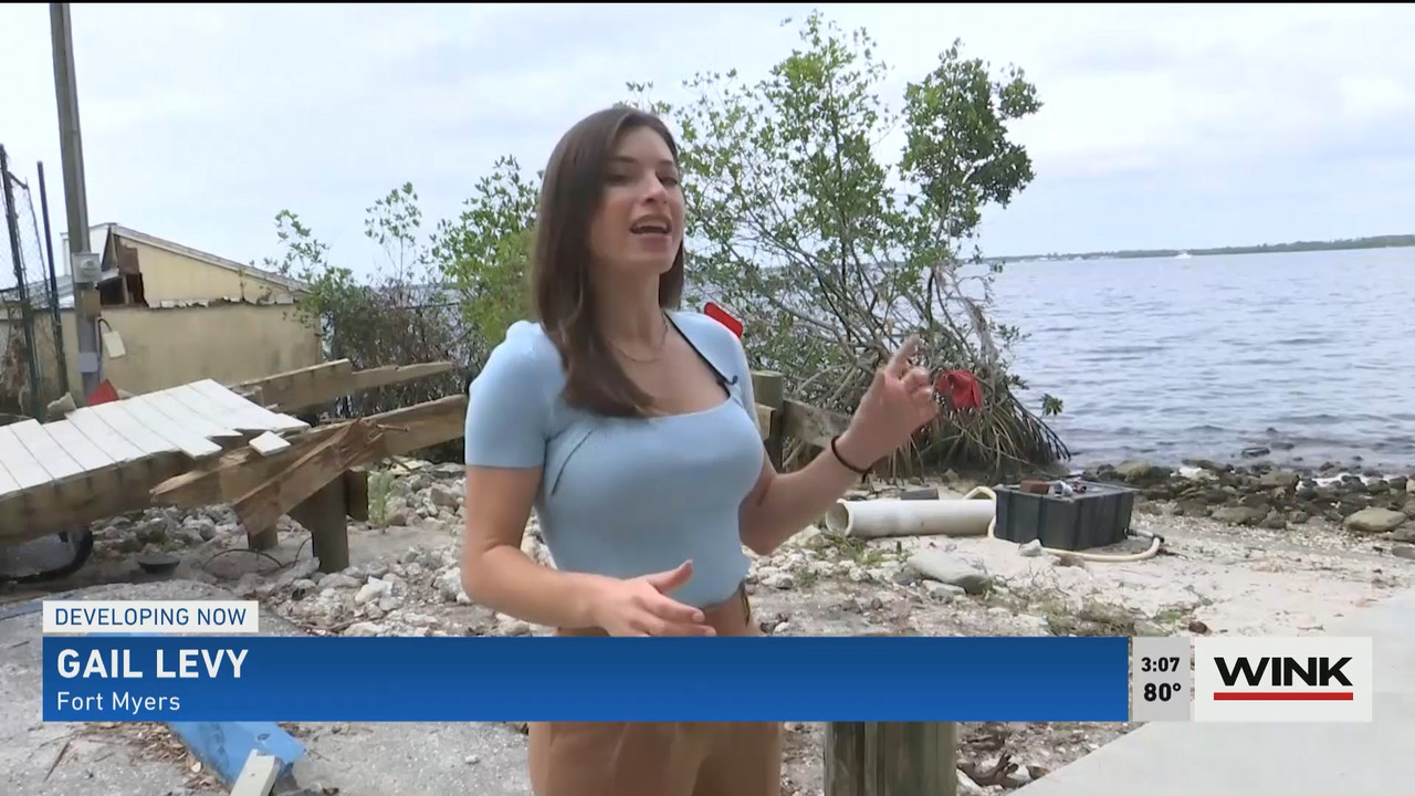 01.20 - 20.00.00 - WINK News at 3pm  ᴺᵉʷ..ts_snapshot_00.11.14.219