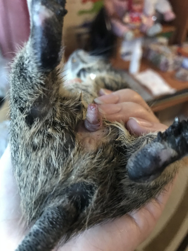 4D6E2420-C80E-4329-BE07-4884DD8D8D9F