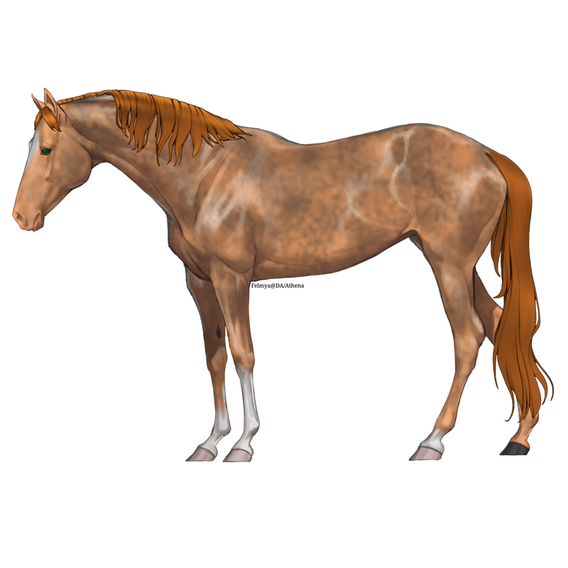 Untitled88-20250423141341.png