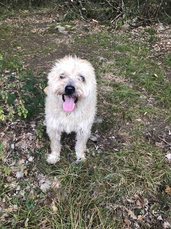 296D36EA-F8BB-48D8-B560-F9D3B39F5C69