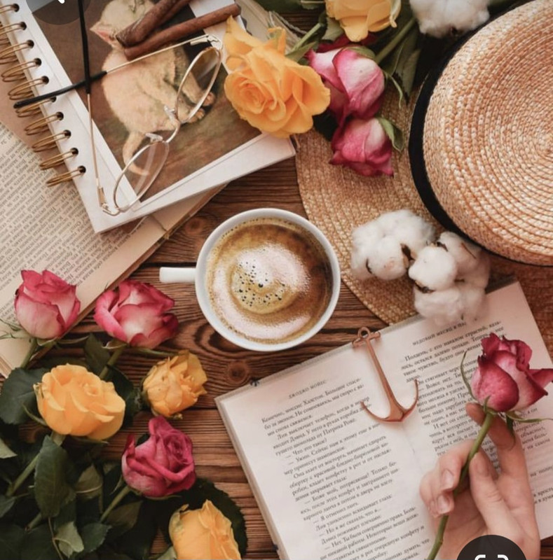 Screenshot_20230305_010522_Pinterest