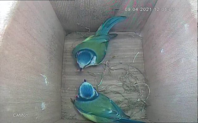 30D7E775-F6E8-4237-8D64-58B4757A15AC