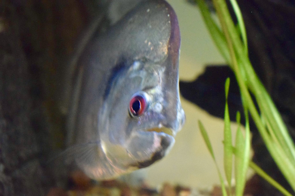 9546D7B2-5753-4315-A1A8-E165A70ACC82