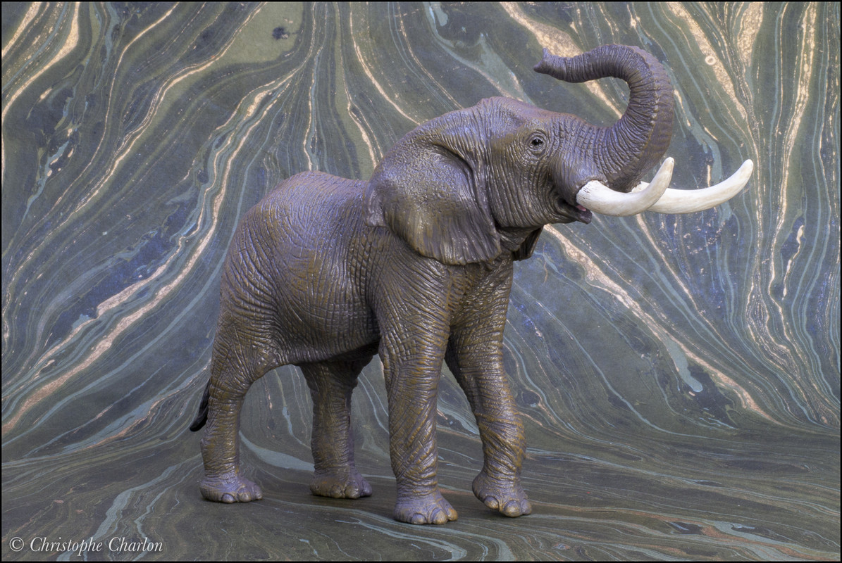 mojo - Mojo 2021 African elephant: a Walkaround by Kikimalou Mojo-381005-African-elephant-9