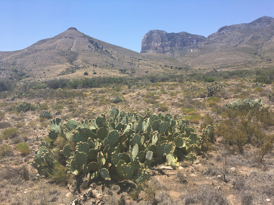 99BF6891-0714-4AE3-B41A-E9094B8C373B