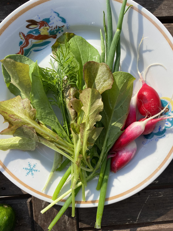 54451C73-7D71-45C1-8174-3ADFE023F45D