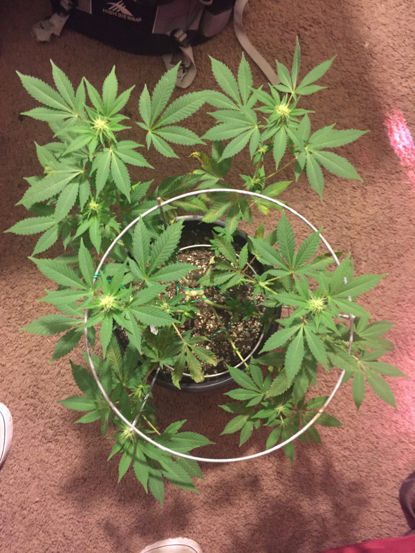 F2BA02B1-F1B6-4E25-86E0-6C7E5F8FCD2B