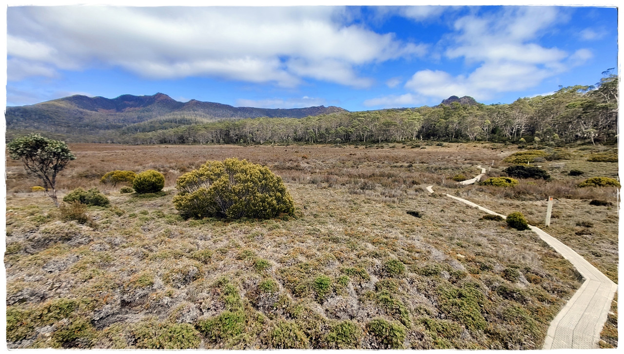 Lake St Clair National Park - Australia (II): Recorriendo Tasmania (8)