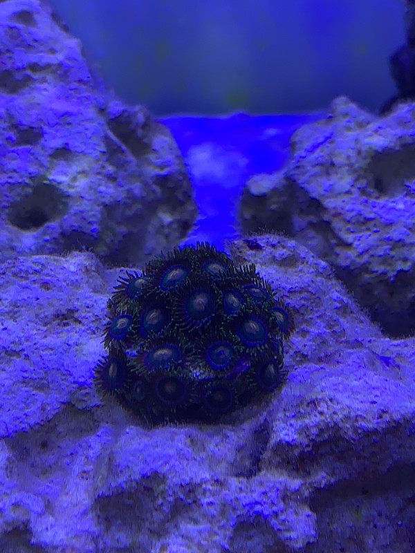 5A51F1FB-8891-4712-A984-08BB498ACEFE