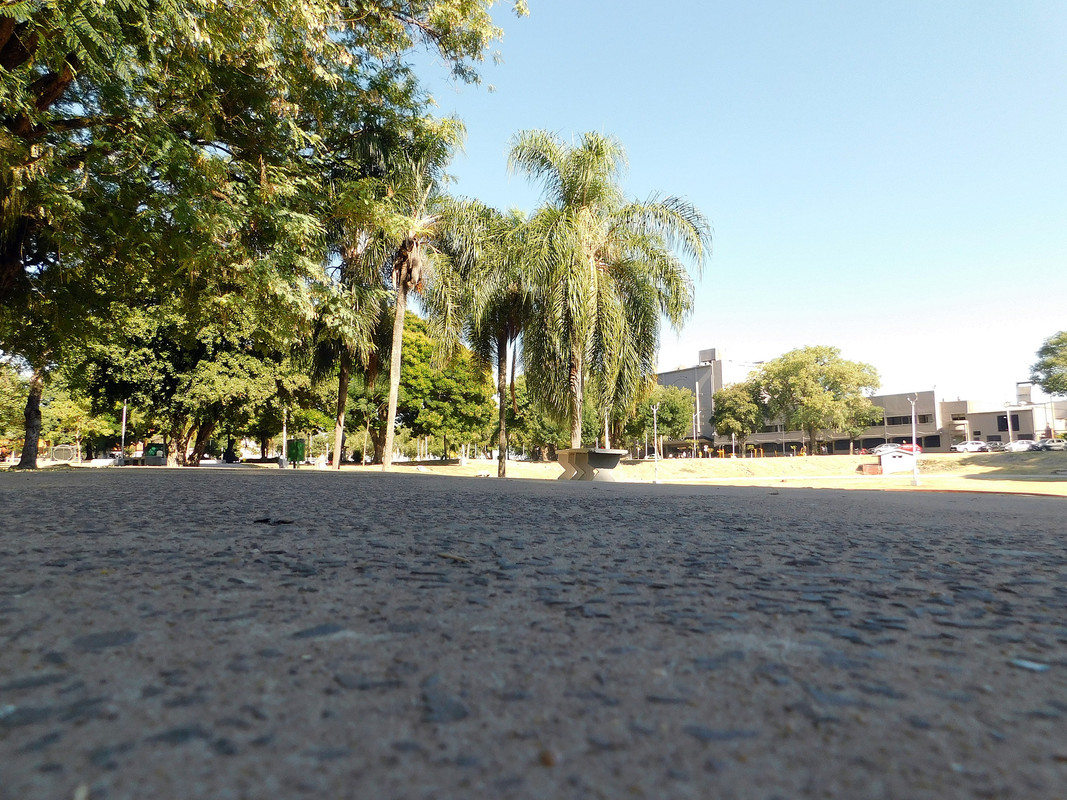 DSCN0605.jpg