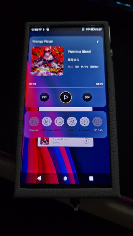 iBasso DX340 Criticisms