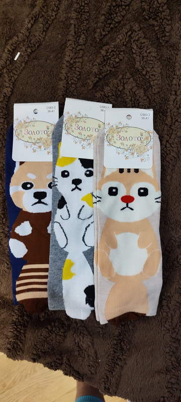 изображение_viber_2024-09-24_21-26-52-122