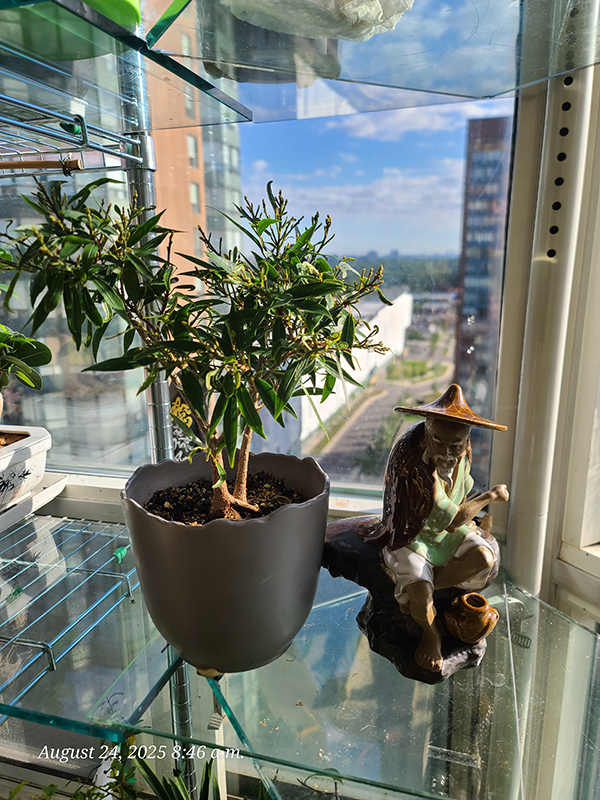 [Image: 20250824-084649.jpg]