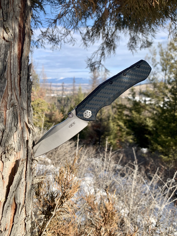 F8A2046C-7B65-4BEF-8DFF-0E73F4728897