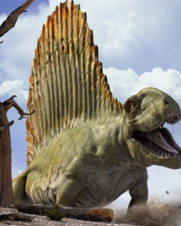 [Image: Dimetrodon-Infobox.png]