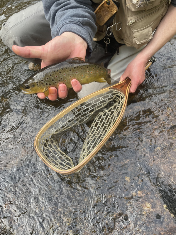 0DAD9CF6-3608-4AF7-A690-F31A3A29B4C7