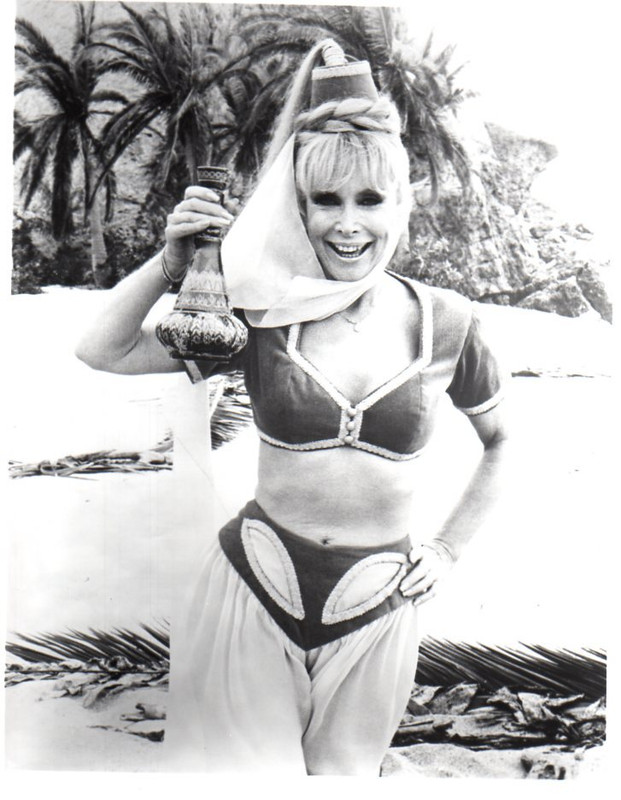 Barbara Eden d49