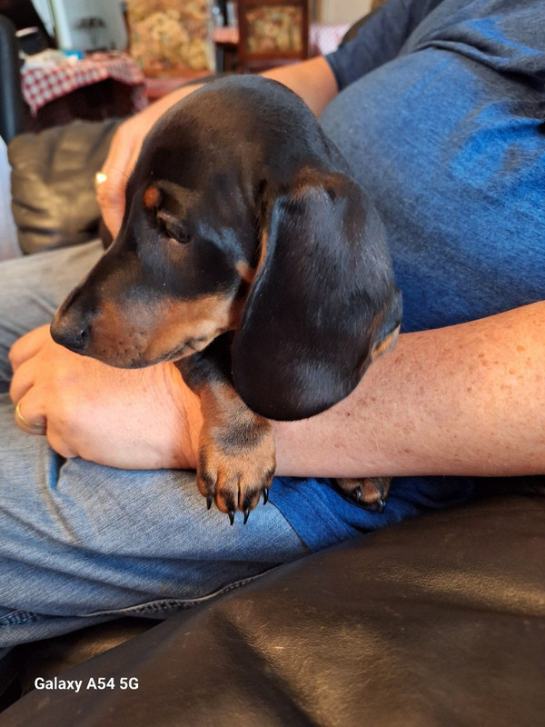 [Image: IMG-20240923-161326.jpg]