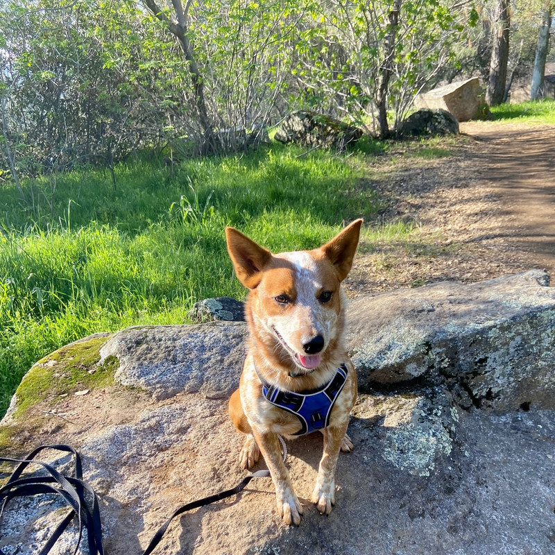 E17BCA77-6DF1-4D22-94F2-C07B073810ED