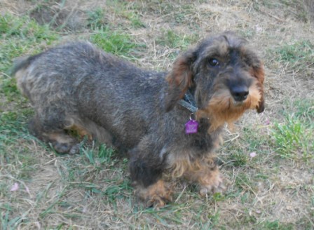 [Image: DSCN3571.jpg]