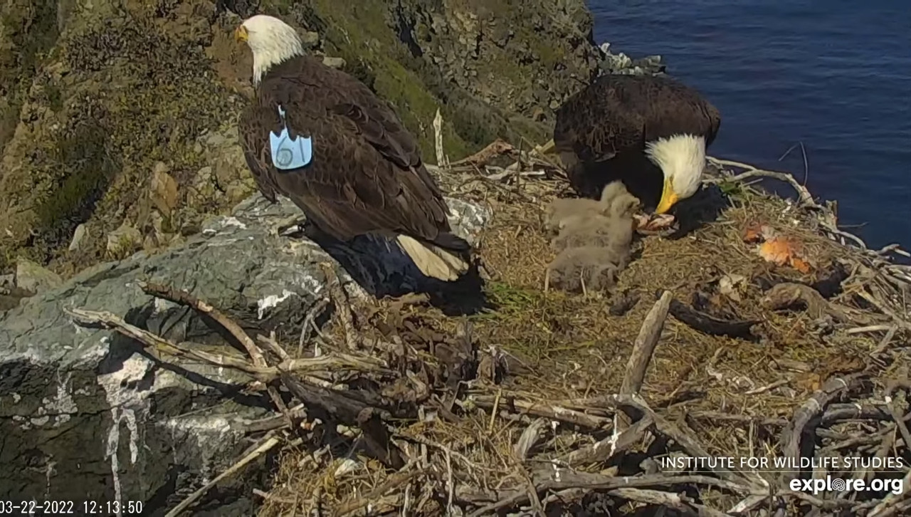 A7C5D1DE-FFA5-417A-B9A5-29C60005258A