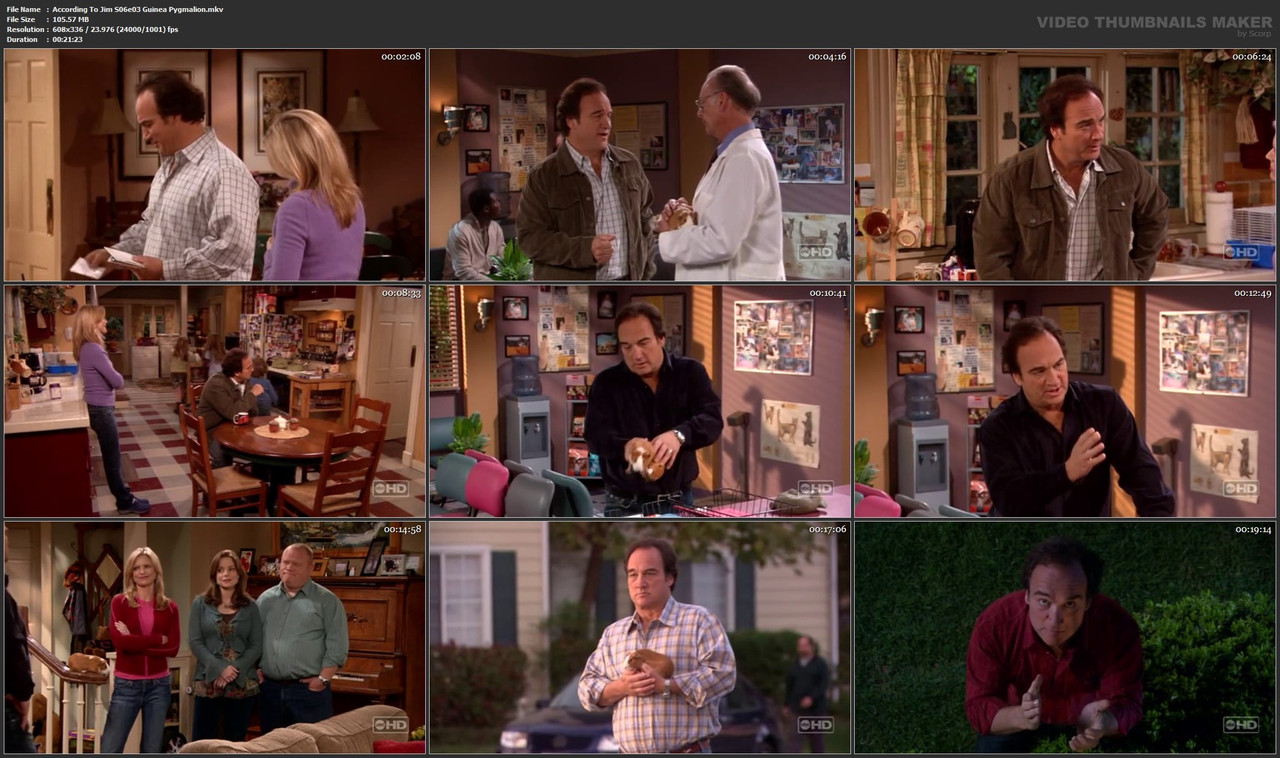 According To Jim S06e03 Guinea Pygmalion.mkv