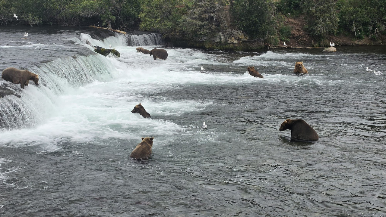 IMG 20260806 WA0056